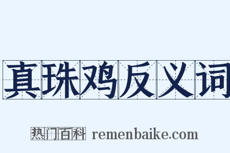 真珠鸡反义词是什么意思的图片